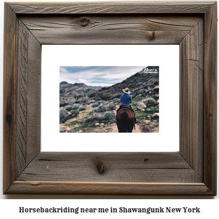 horseback riding near me in Shawangunk, New York